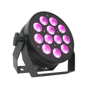 12pcs RGBW Mini Remote Wash Spot Light for Garden Scenery FD-LP1210M