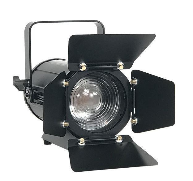 Factory Wholesale 100W RGBW Led Frensel Spotlight for Photography FD-F23